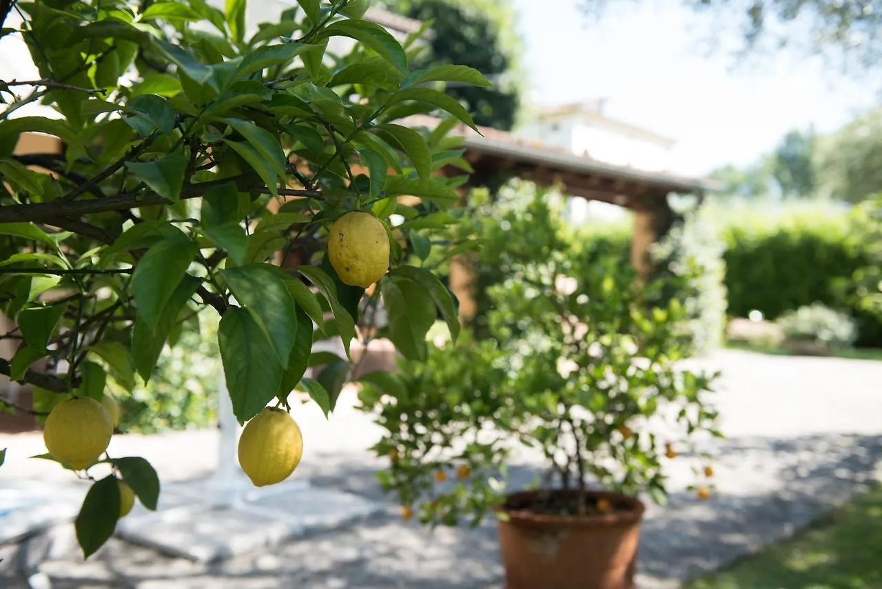Le Tre Querce B&B Romano D'Ezzelino Bed & Breakfast