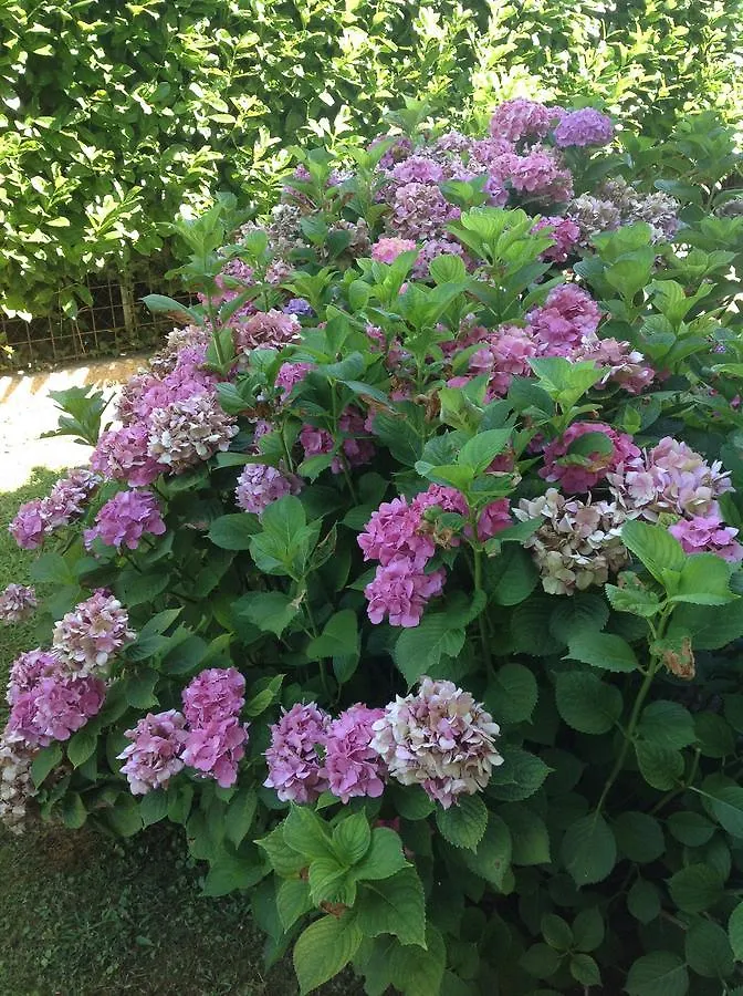 Le Tre Querce B&B Romano D'Ezzelino 0*,